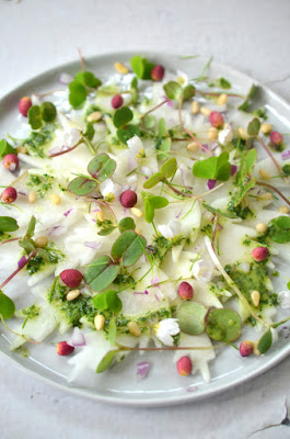 Kohlrabischeiben sind auf einem flachen Teller grauen Teller arrangiert und mit Springkrautsprossen, Fichtenblüten, Sauerklee und Lärchennadeln dekoriert.