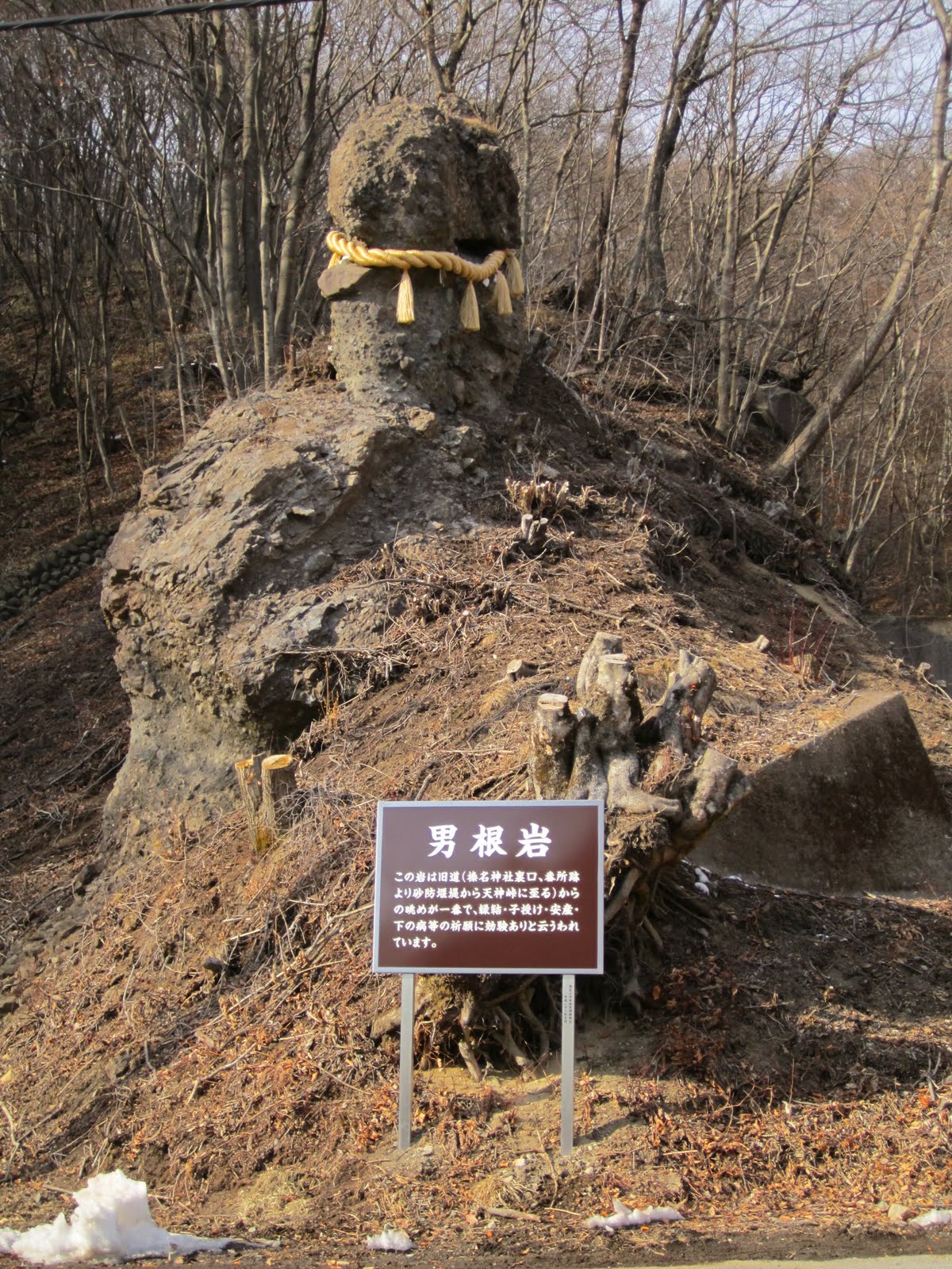 長壁真樹 榛名湖結氷状況