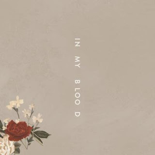 It shines like pollen in the summer sun Shawn Mendes - In My Blood Lyrics
