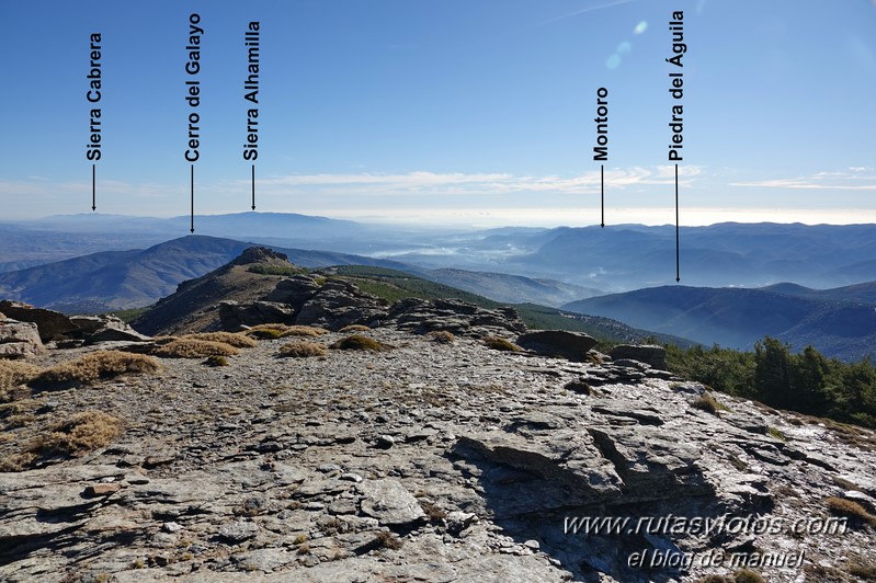 Polarda - Mancaperros - Las Torrecillas - Cerro del Rayo - Buitre