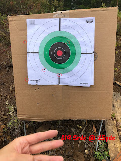 target shooting plinking birchwood paper target