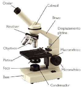 MICROSCOPIO OPTICO