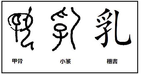 漢字考古学の道 漢字の由来と成り立ちから人間社会の歴史を遡る 漢字の成り立ちの意味するもの 漢字 乳 の起源 実に微笑ましい 子供に乳を与える様そのまんま