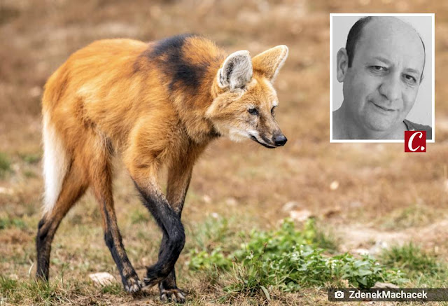 ambiente de leitura carlos romero linaldo guedes notas rede sociais rancor cedula 200 reais lobo guara facebook publicar textos