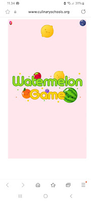 game watermelon