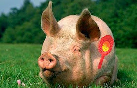 Telling porkies in parliament...
