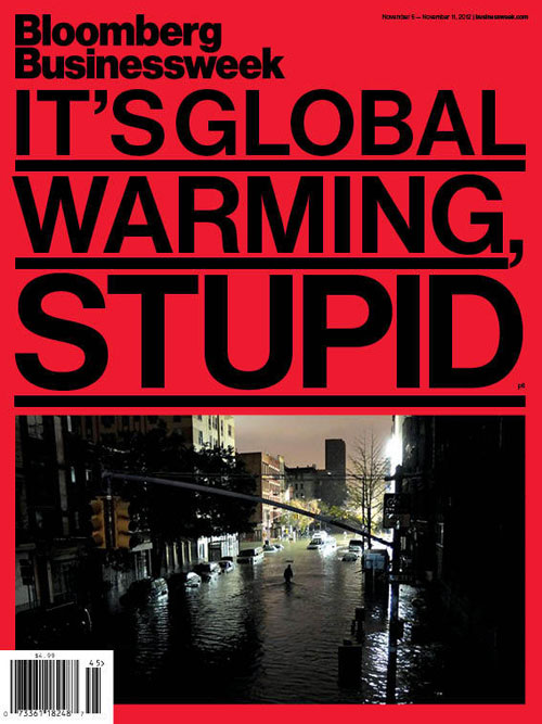 bloomsberg cover sandy NYC 2012 its globalwarming stupid