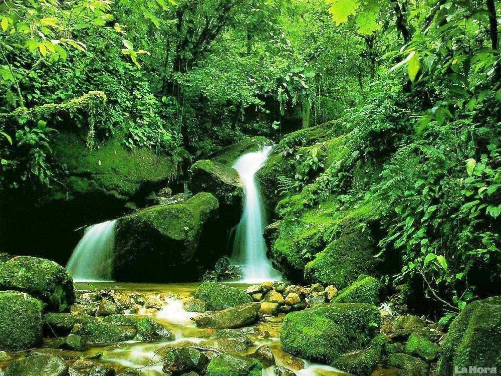 PAISAJE NATURAL