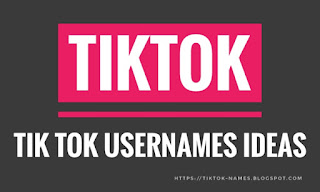 tiktok king name