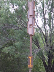 batcondo