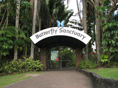 Australian Butterfly Sanctuary