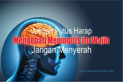 Cara Mengobati Meningitis dengan Probiotik Terbaik