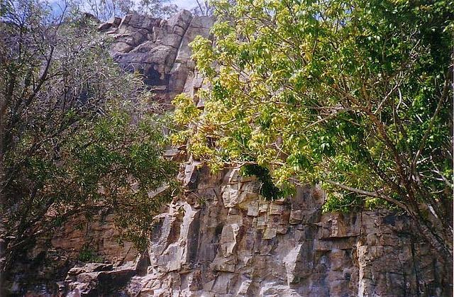 Dr. Tas Walker discusses geology in Queensland, Australia from a biblical perspective. The evidence fits the Flood model far better than standard uniformitarian models. The principles he describes can be applied to other areas as well.