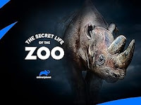 Image: The Secret Life Of The Zoo | Through the use of cameras equipped with the latest technology, this program takes viewers behind the scenes of the zoo, capturing animal behavior close up, as well as the relationships the animals share with their keepers
