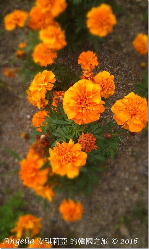 Gukchae-bosang Memorial Park-14