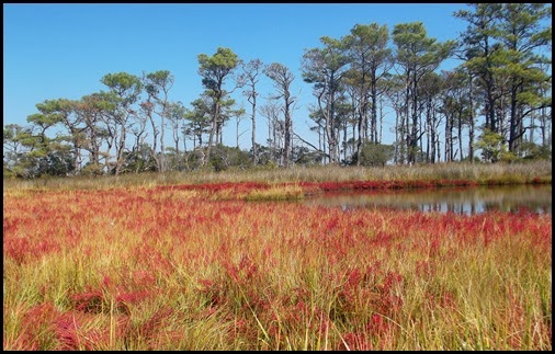 Assateague AM Kayak 148