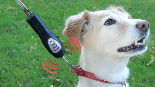Best Pet Gadget Stuff : Tug-Preventing Dog Trainer. ~ Best ...