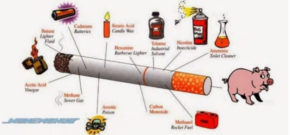 Mengerikan Ternyata Bahan  yang Ada di Semua Jenis Rokok  