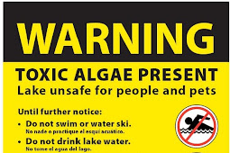 Toxic Algae Advisory Posted for Lawrence Lake