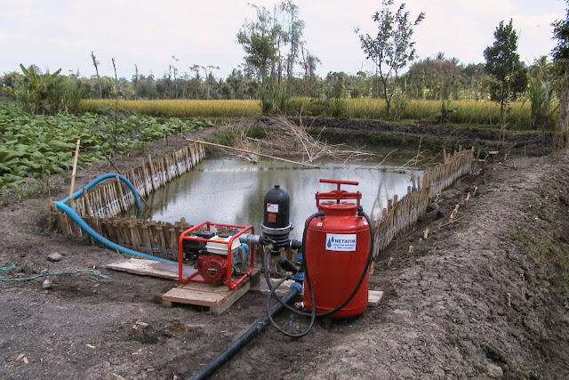 Irigasi Tetes (Drip Irrigation) Untuk Tembakau