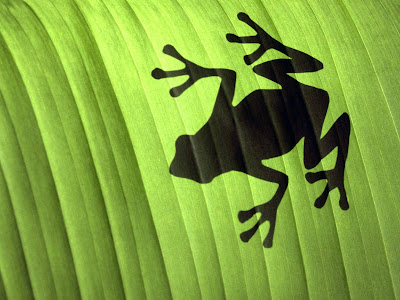 Frog Shadow Standard Resolution Wallpaper