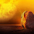 What Are 20 Facts About Science?|20 Interesting Science Facts|20 Unbelievable Science Facts That Will Shock You,s