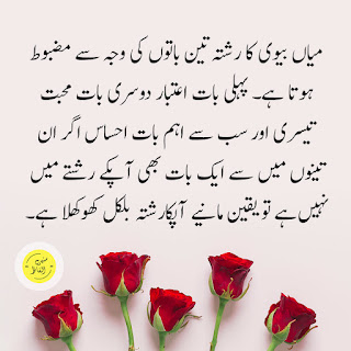 husband wife quotes in urdu