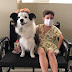 Hospital Metropolitano inicia terapia com cães para auxiliar no tratamento dos pacientes
