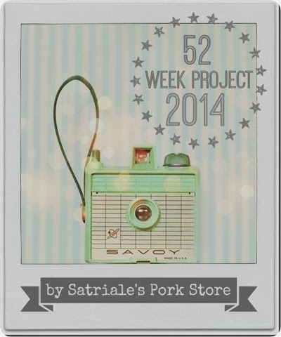 52wp2014_big_thumb[1]