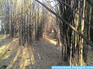 taman bambu keputih surabaya