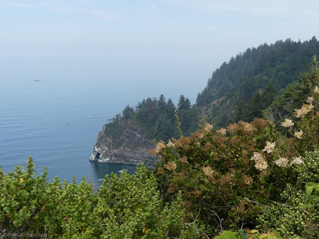 trees nearly to the water and a rocky point sticking out