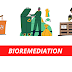 Bioremediation: Harnessing Nature's Power to Restore Our Environment
