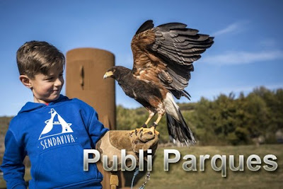 Aves rapaces en Sendaviva