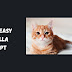 JavaScript Simple Random Cat Image Development Tutorial For Beginners