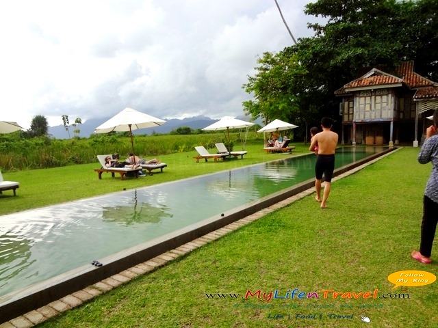 Temple Tree Swimming pool