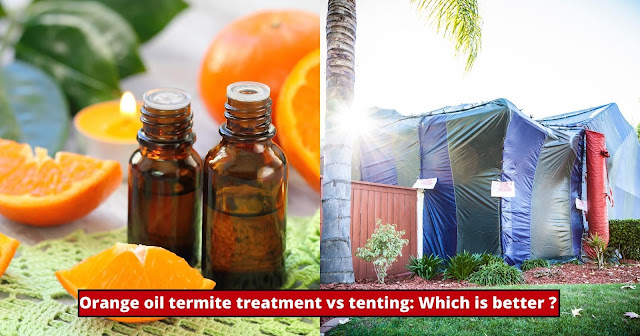 orange-oil-termite-treatment-vs-tenting