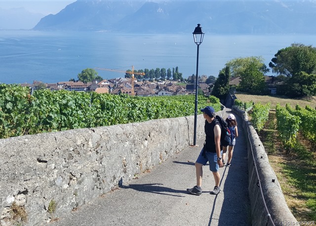 Walking down a narrow path called the Chemin de Chenaux to Cully. Walking down a narrow path called the Chemin de Chenaux to Cully.