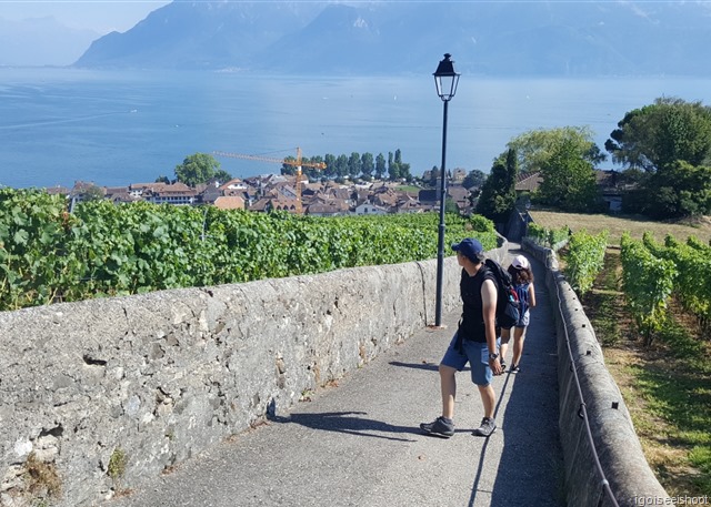 Walking down a narrow path called the Chemin de Chenaux to Cully.