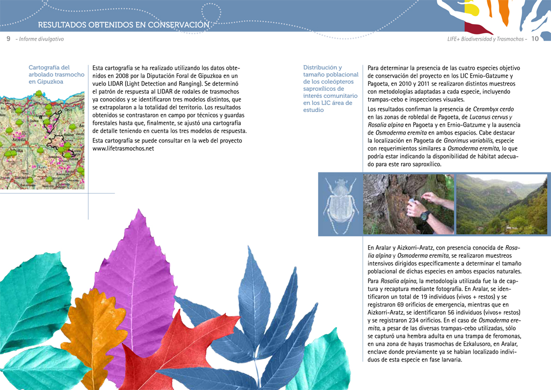 Informe Layman, LIFE+ Biodiversidad y Trasmochos