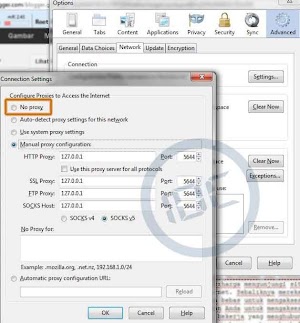 bypass-proxy-setting-browser.jpg