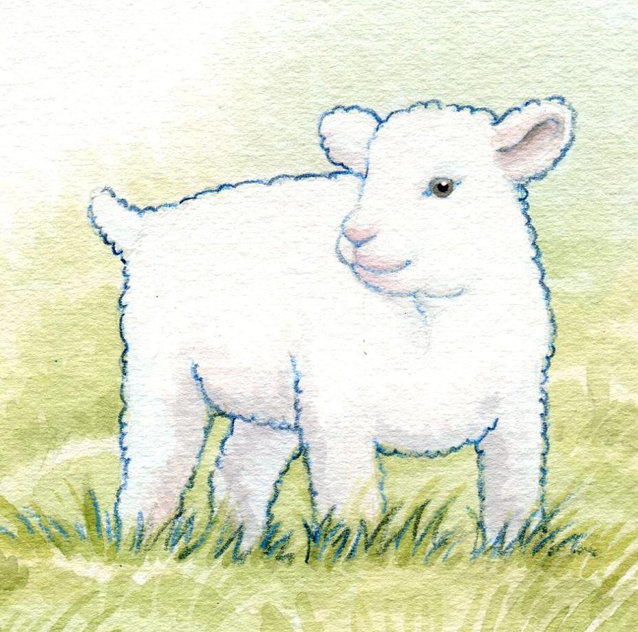 Lamb—Jesus Is the Lamb of God