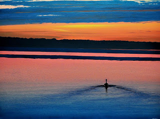 Atardeceres Marinos Paisajes