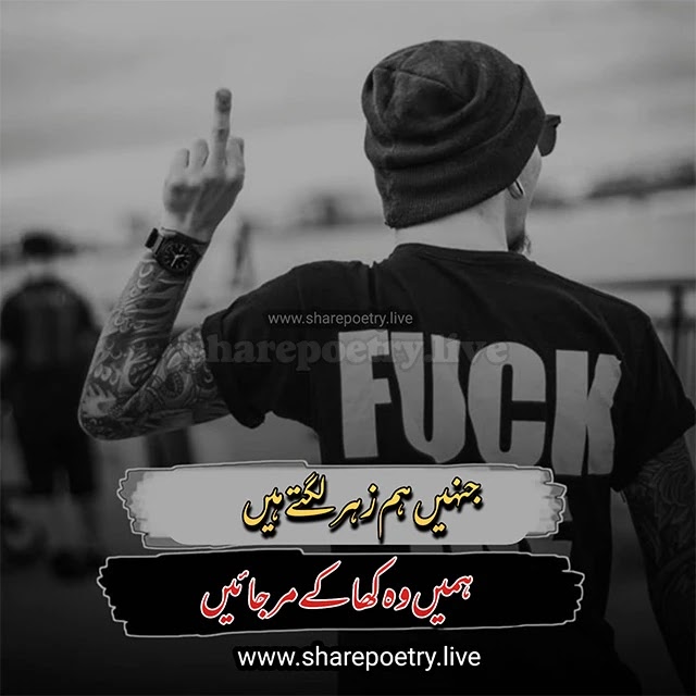 Attitude Poetry in Urdu 2 lines for boy - Fuck Attitude
