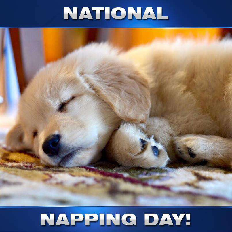 National Napping Day Wishes Pics