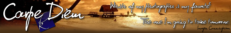 Which of my photographs is my favorite? The one I’m going to take tomorrow...