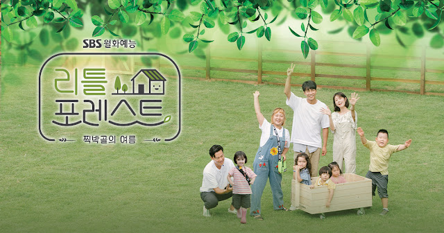 Download Variety Show Korea Little Forest Batch Subtitle Indonesia