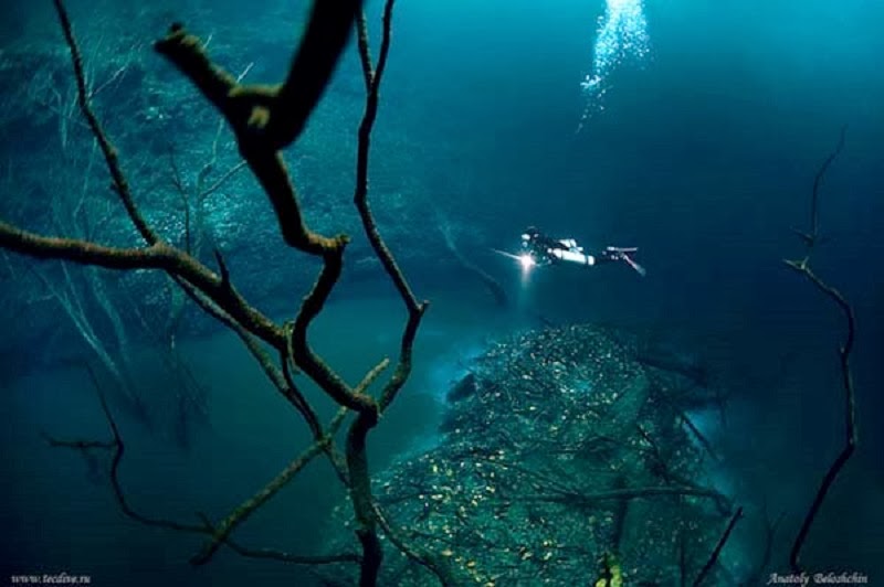 Inside is an underwater river, flowing on the bottom of the ocean floor.