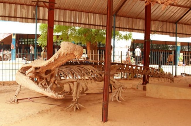 Attractions In Niger