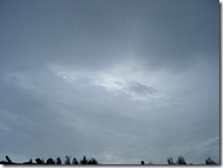 DSCF3136