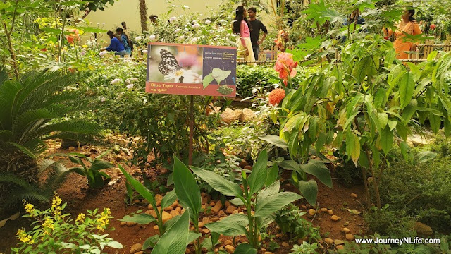 Bangalore National Butterfly Park 